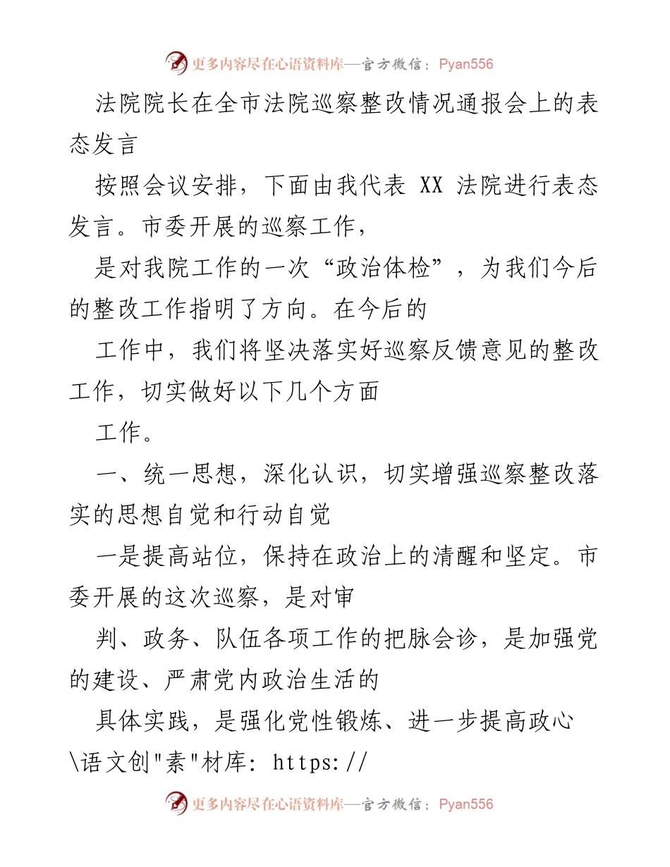 [发言] 全市法院巡察整改情况通报会 - 法院院长的整改承诺与行动计划.docx_第1页