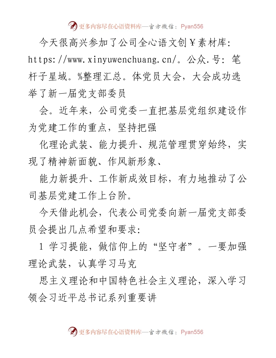 [发言] 公司全体党员大会 - 新一届党支部委员的期望与要求.docx_第1页