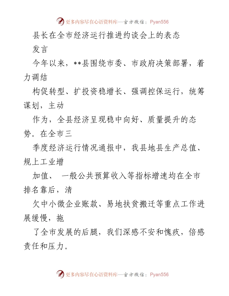 [发言] 全市经济运行推进约谈会 - 县长的经济发展反思与行动计划.docx_第1页