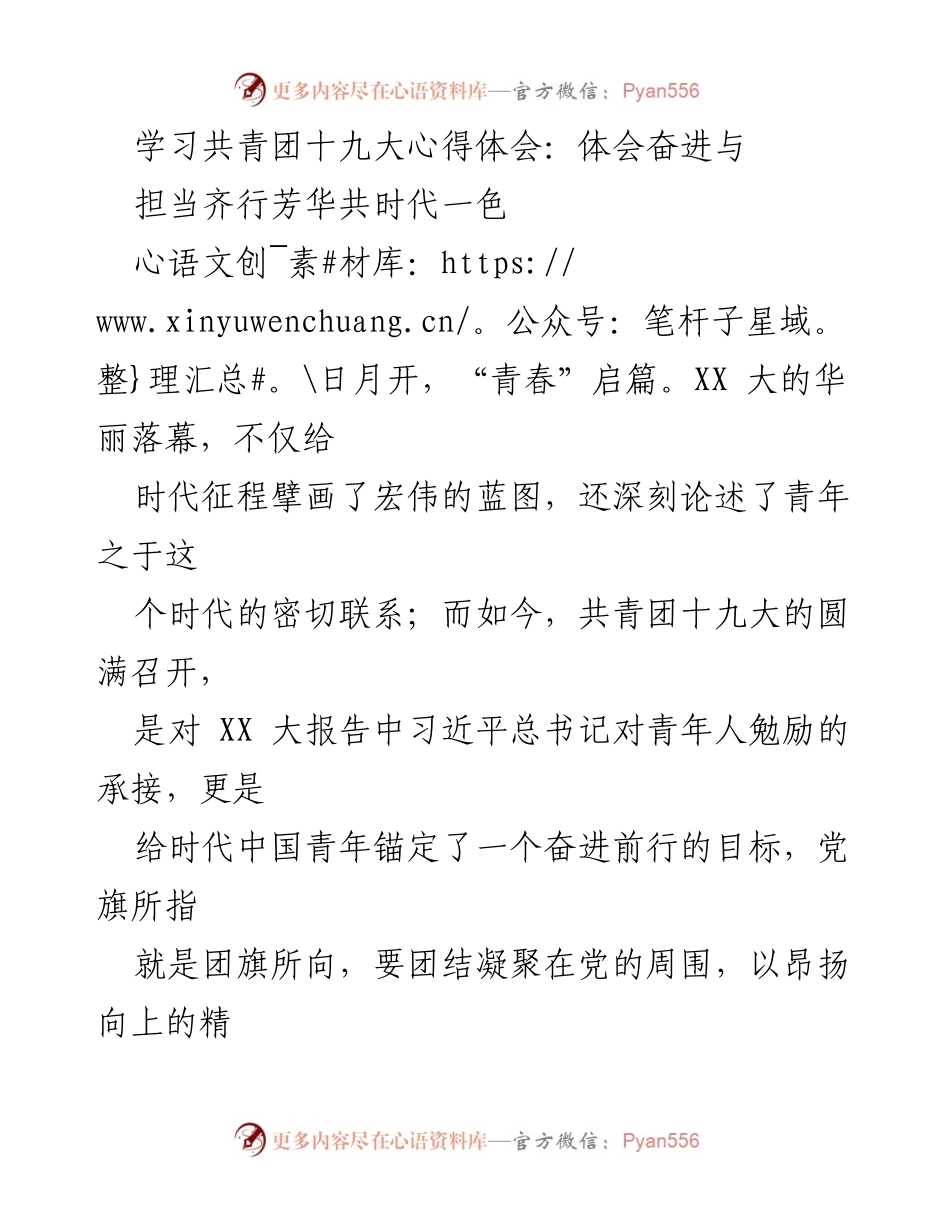 [发言] 共青团十九大 - 青年的使命与担当：共青团十九大心得体会.docx_第1页