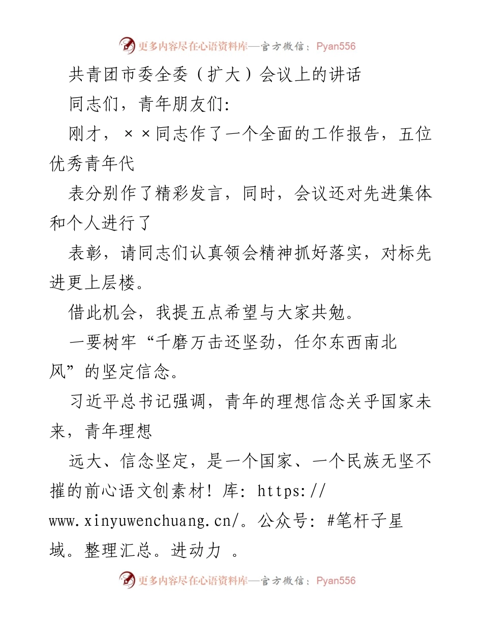 [发言] 共青团市委全委（扩大）会议 - 青年理想与责任担当的号召.docx_第1页