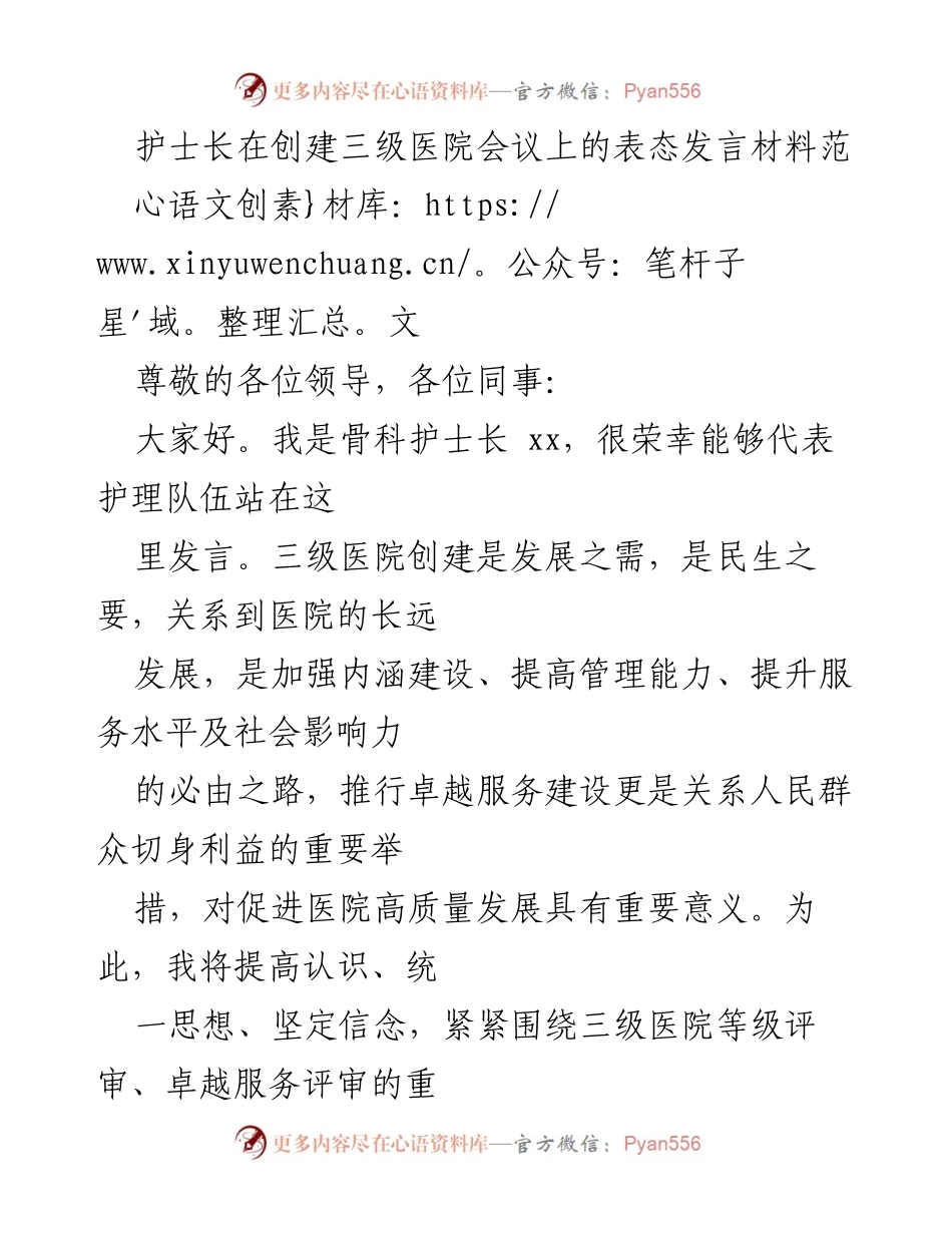 [发言] 创建三级医院会议 - 护理团队的承诺与责任.docx_第1页