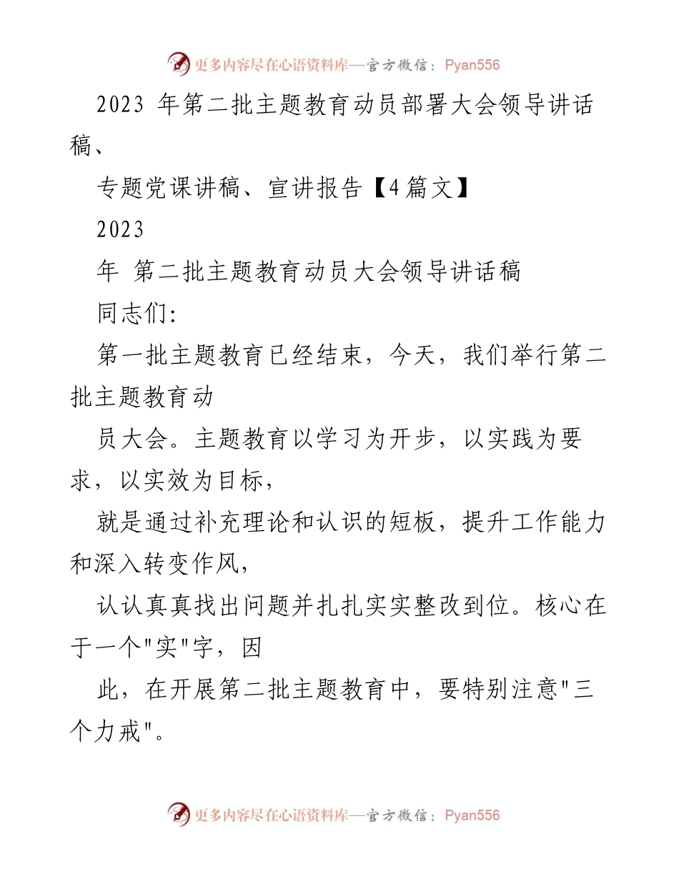 [发言] 动员大会 - 第二批主题教育动员大会领导讲话要点.docx_第1页