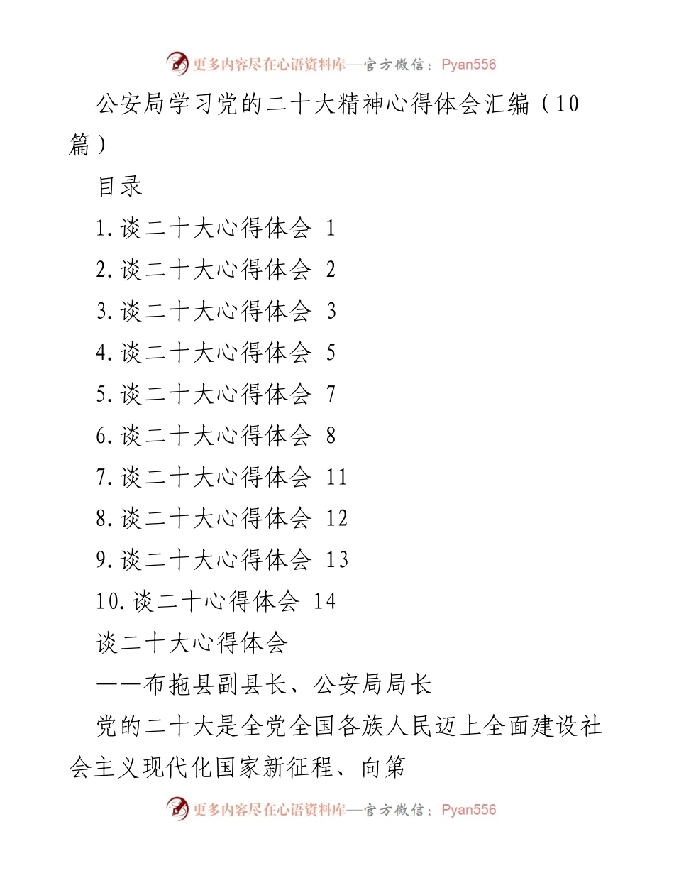 [发言] 公安局学习党的二十大精神 - 深入学习贯彻党的二十大精神，提升公安工作质量与效率.docx_第1页