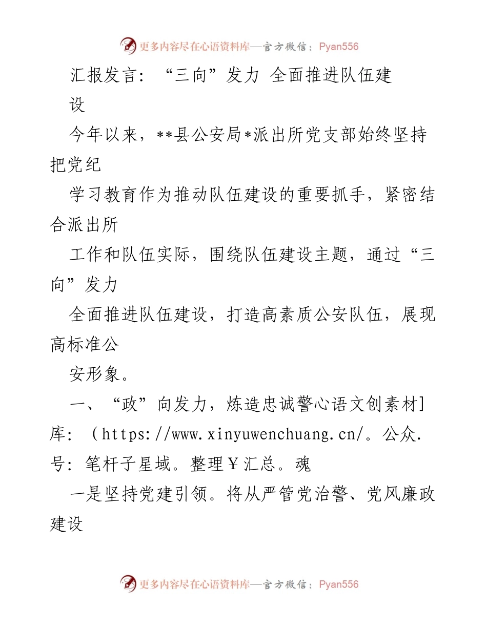 [发言] 公安局队伍建设会议 - 三向发力，全面推进公安队伍建设.docx_第1页