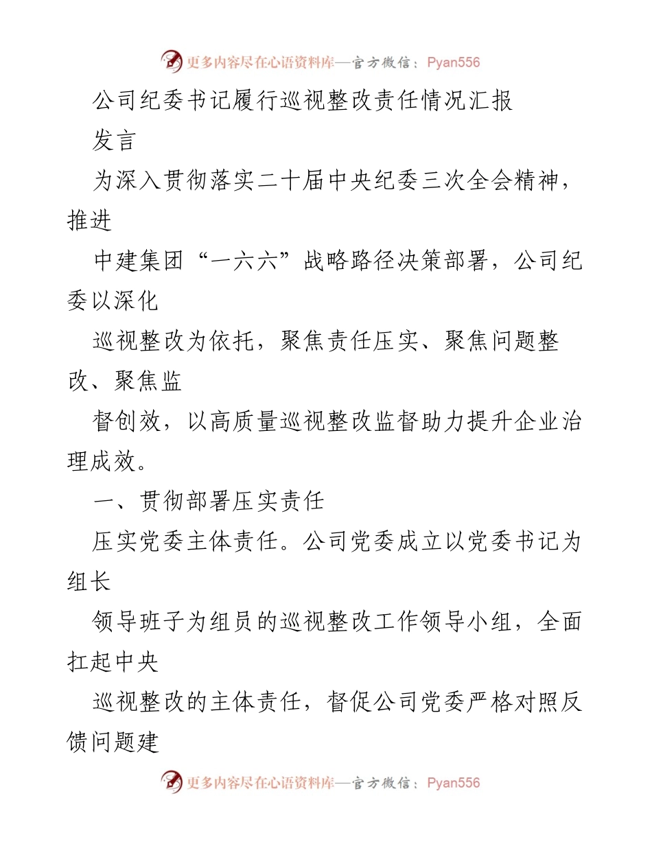 [发言] 公司纪委会议 - 公司纪委书记巡视整改责任落实情况汇报.docx_第1页