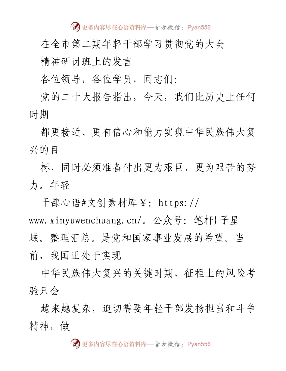 [发言] 全市第二期年轻干部学习贯彻党的大会 - 年轻干部的担当与斗争精神：为实现中华民族伟大复兴而奋斗.docx_第1页