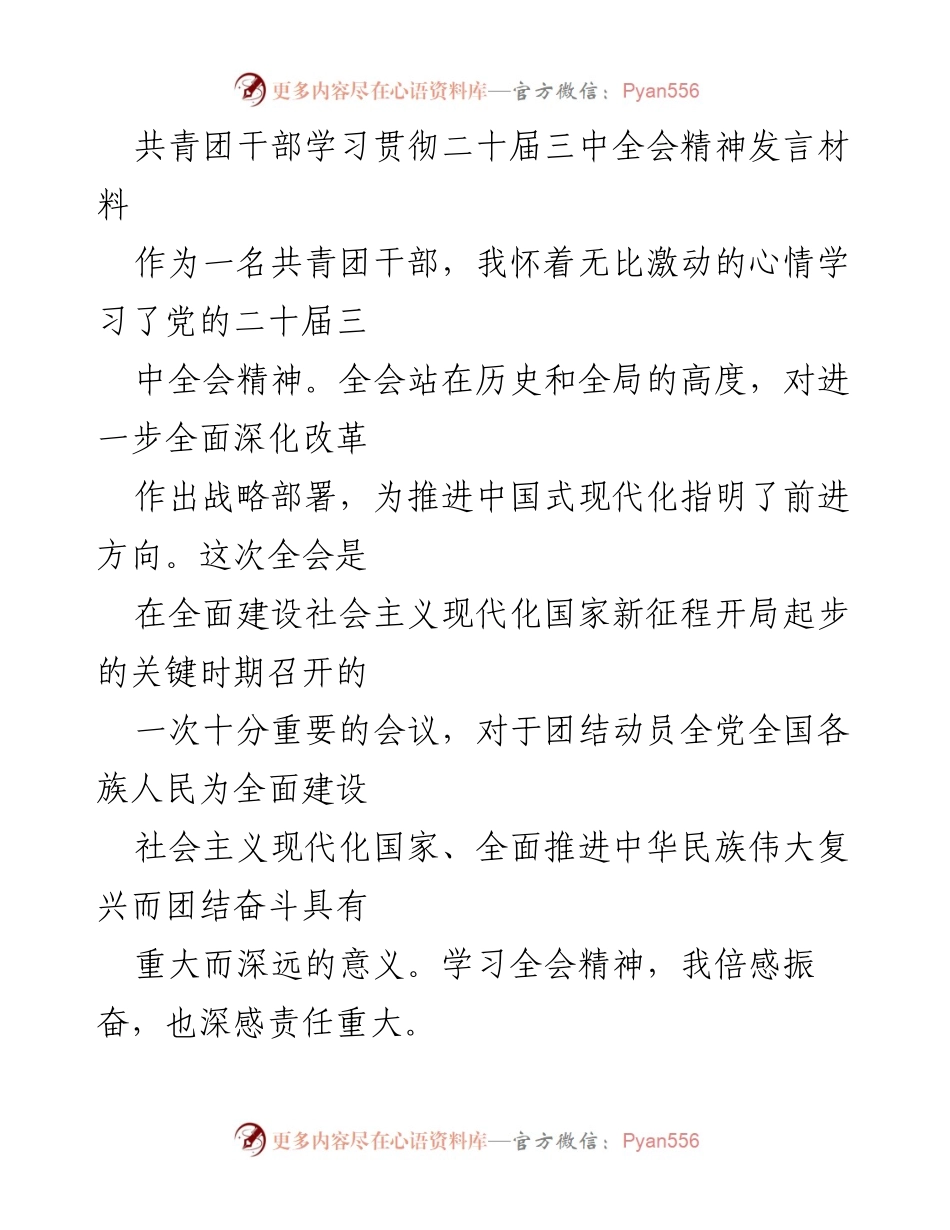 [发言] 共青团干部学习会 - 深入学习贯彻二十届三中全会精神的责任与使命.docx_第1页