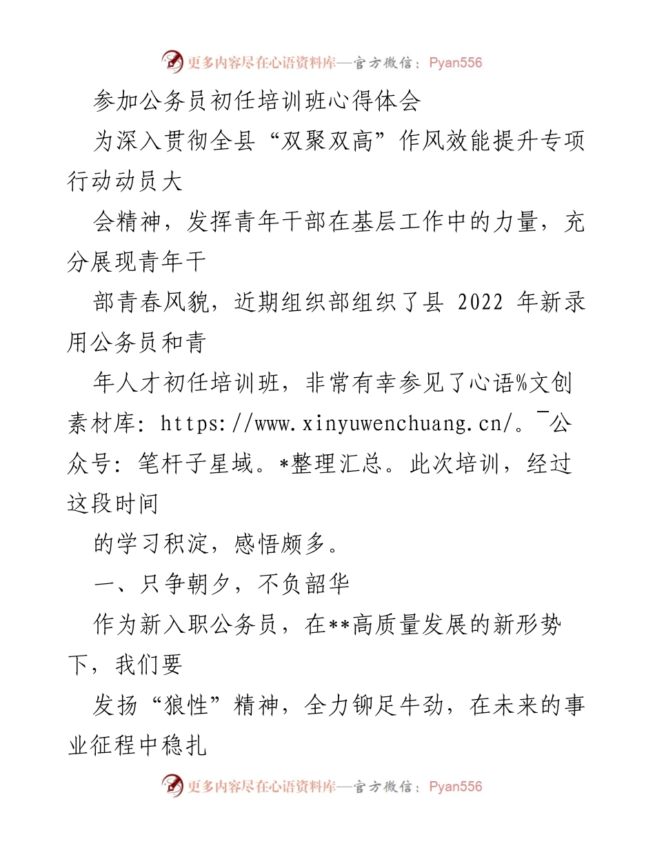 [发言] 公务员初任培训班 - 青年干部在新时代的使命与责任.docx_第1页
