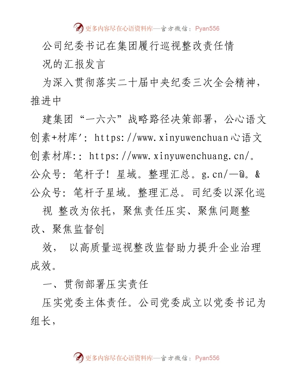 [发言] 公司纪委巡视整改工作汇报 - 深化巡视整改，提升企业治理效能.docx_第1页