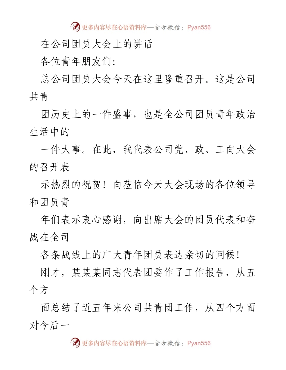 [发言] 公司团员大会 - 青年团员的使命与担当.docx_第1页