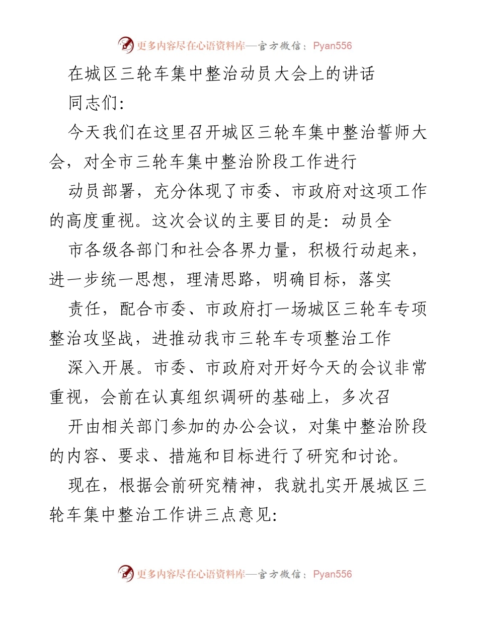 [发言] 动员大会 - 城区三轮车集中整治动员讲话.docx_第1页