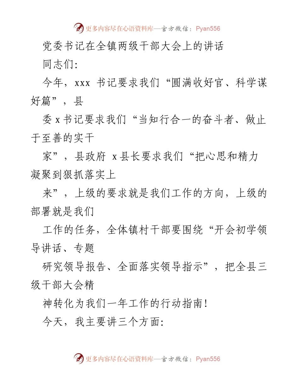 [发言] 全镇两级干部大会 - 党委书记讲话：总结过去，展望未来，凝聚力量推动乡村振兴.docx_第1页