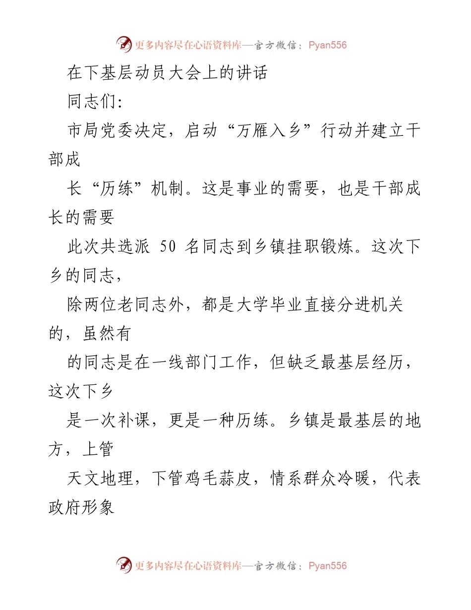 [发言] 动员大会 - 启动“万雁入乡”行动的动员讲话.docx_第1页