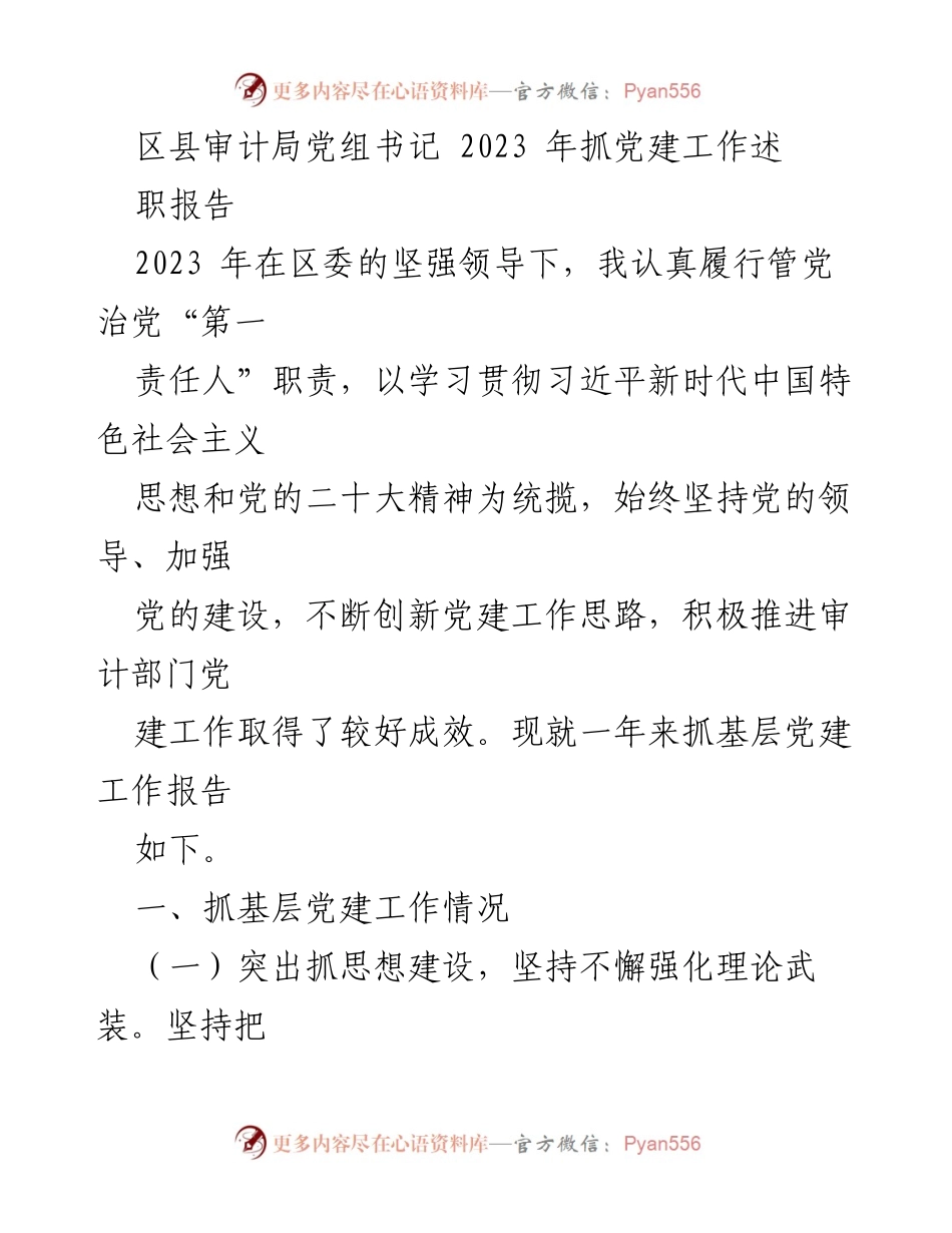 [发言] 区县审计局党建工作述职 - 2023年区县审计局党组书记党建工作述职报告.docx_第1页