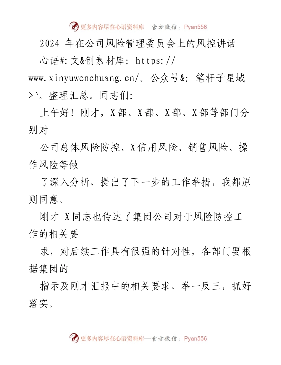 [发言] 公司风险管理委员会 - 2024年风险防控工作讲话.docx_第1页