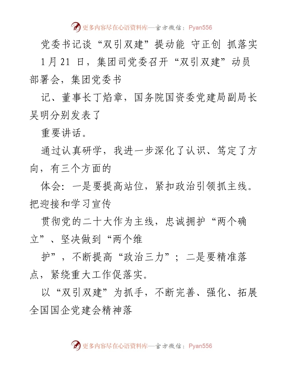 [发言] 动员部署会 - 党委书记解读“双引双建”动能与落实路径.docx_第1页