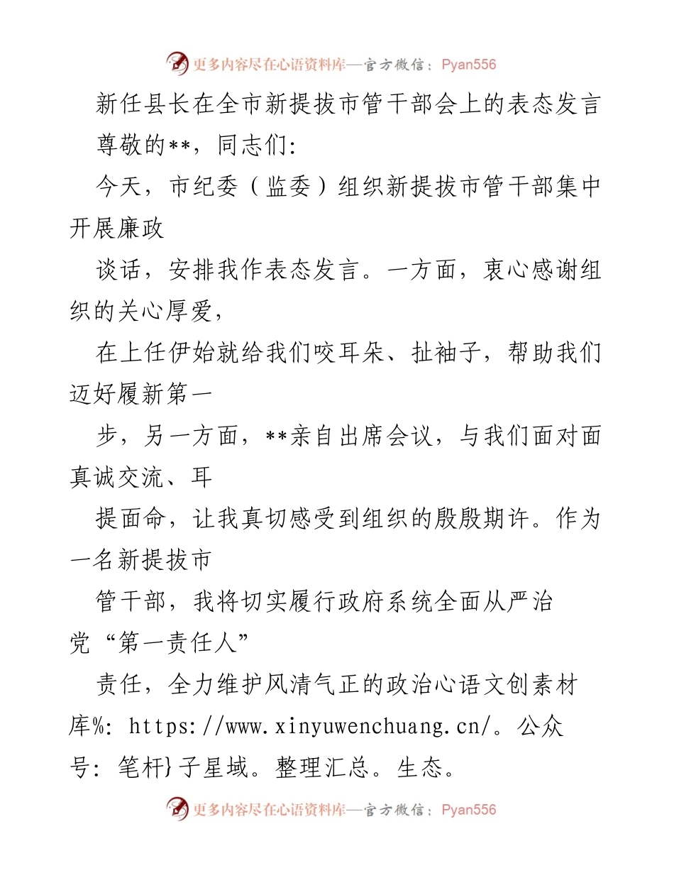 [发言] 全市新提拔市管干部会 - 新任县长表态发言：践行从严治党，建设清廉高效政府.docx_第1页
