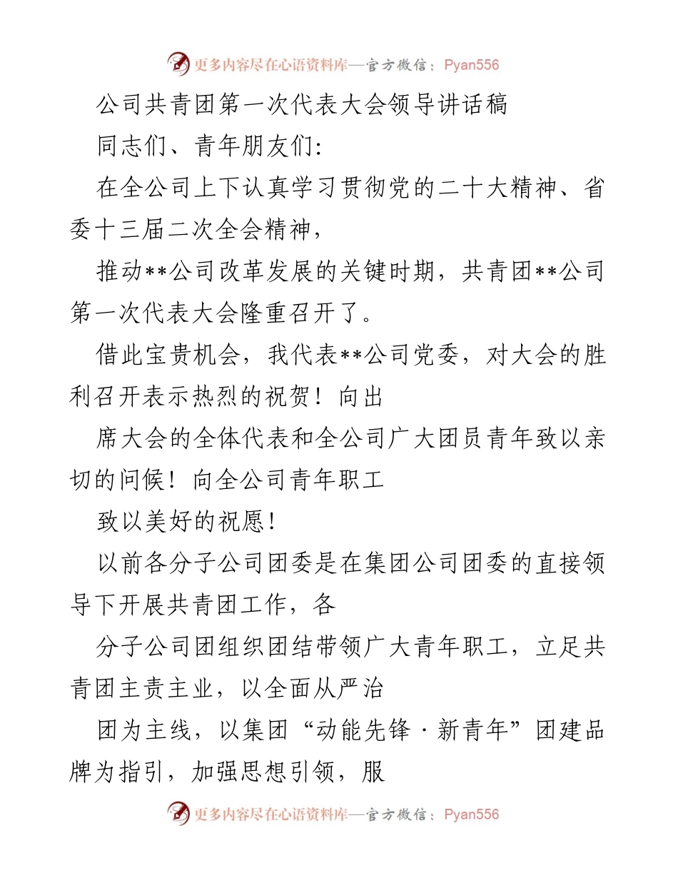 [发言] 共青团第一次代表大会 - 共青团助力公司改革发展，青年力量不可或缺.docx_第1页