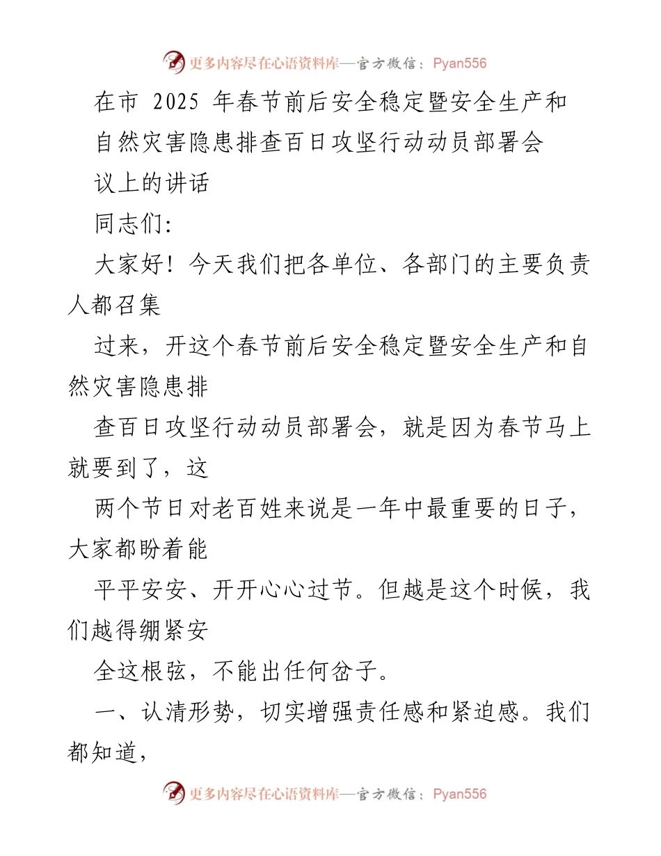 [发言] 动员部署会议 - 春节前安全稳定与隐患排查的重要性.docx_第1页