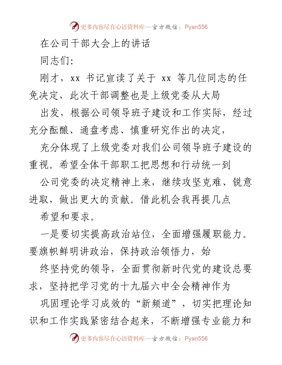 [发言] 公司干部大会 - 加强政治站位与安全生产，推动公司发展新征程.docx_第1页