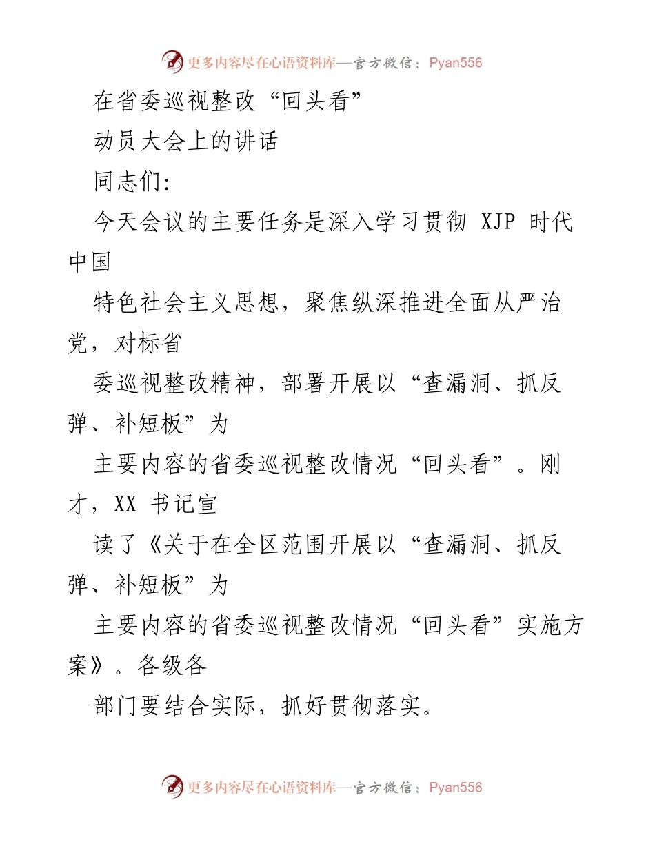 [发言] 动员大会 - 深入推进巡视整改，确保全面落实“回头看”工作.docx_第1页