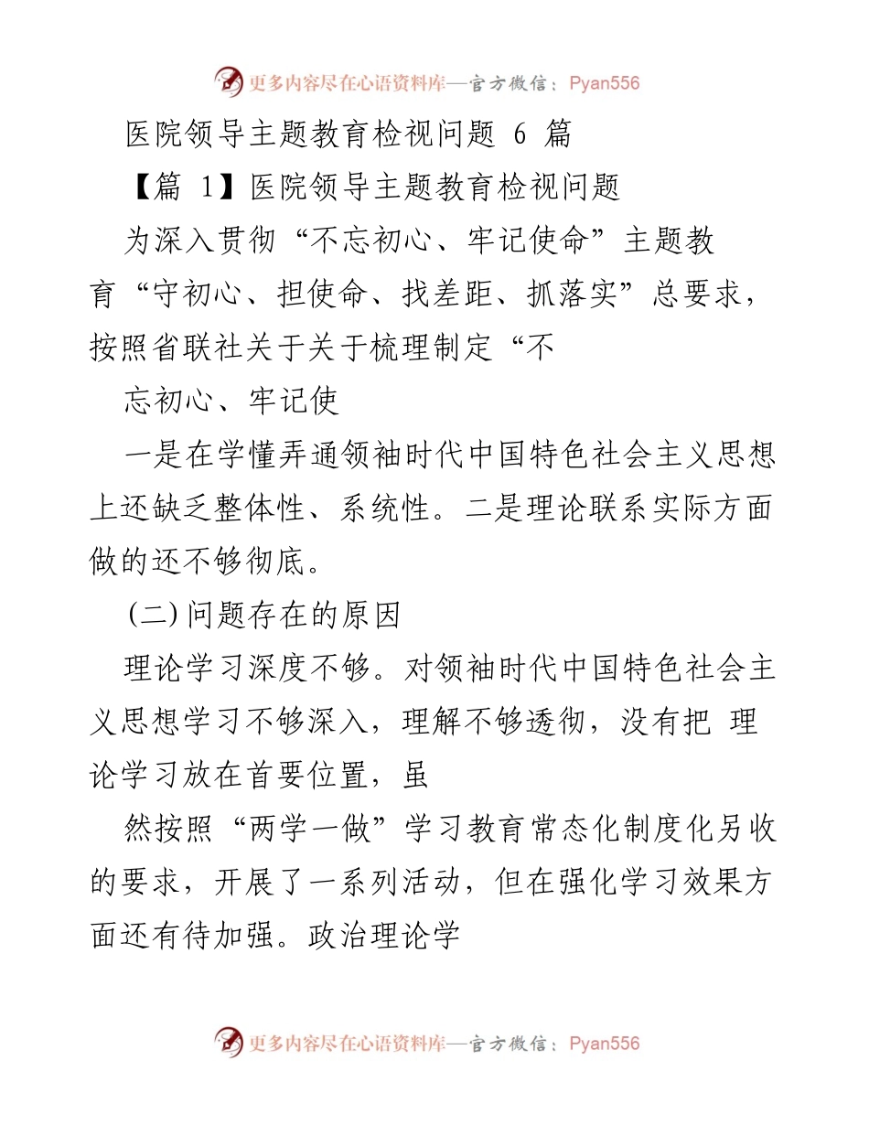 [发言] 医院领导主题教育会议 - 医院领导主题教育检视问题与整改措施.docx_第1页