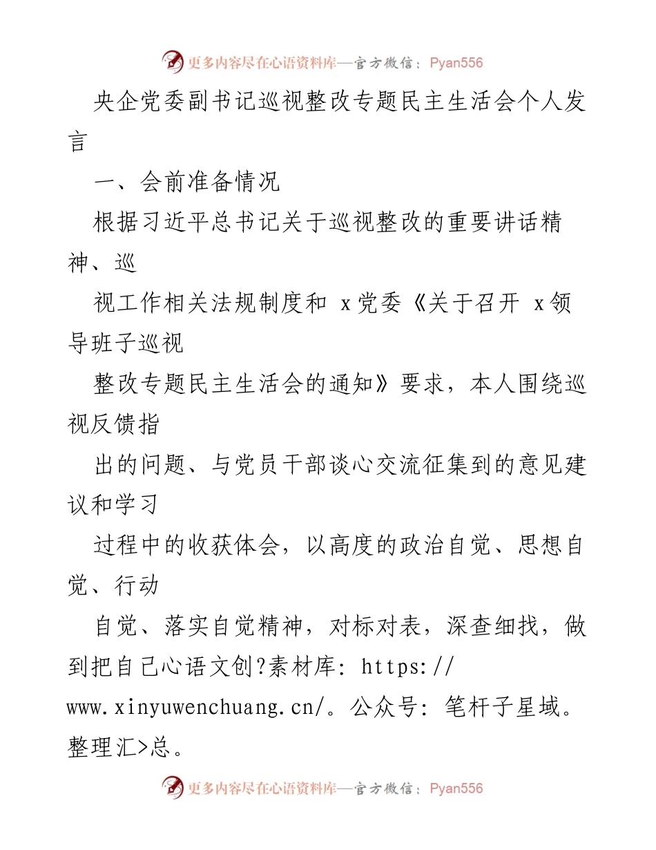 [发言] 央企党委巡视整改专题民主生活会 - 深入剖析巡视整改问题，推动高质量发展.docx_第1页