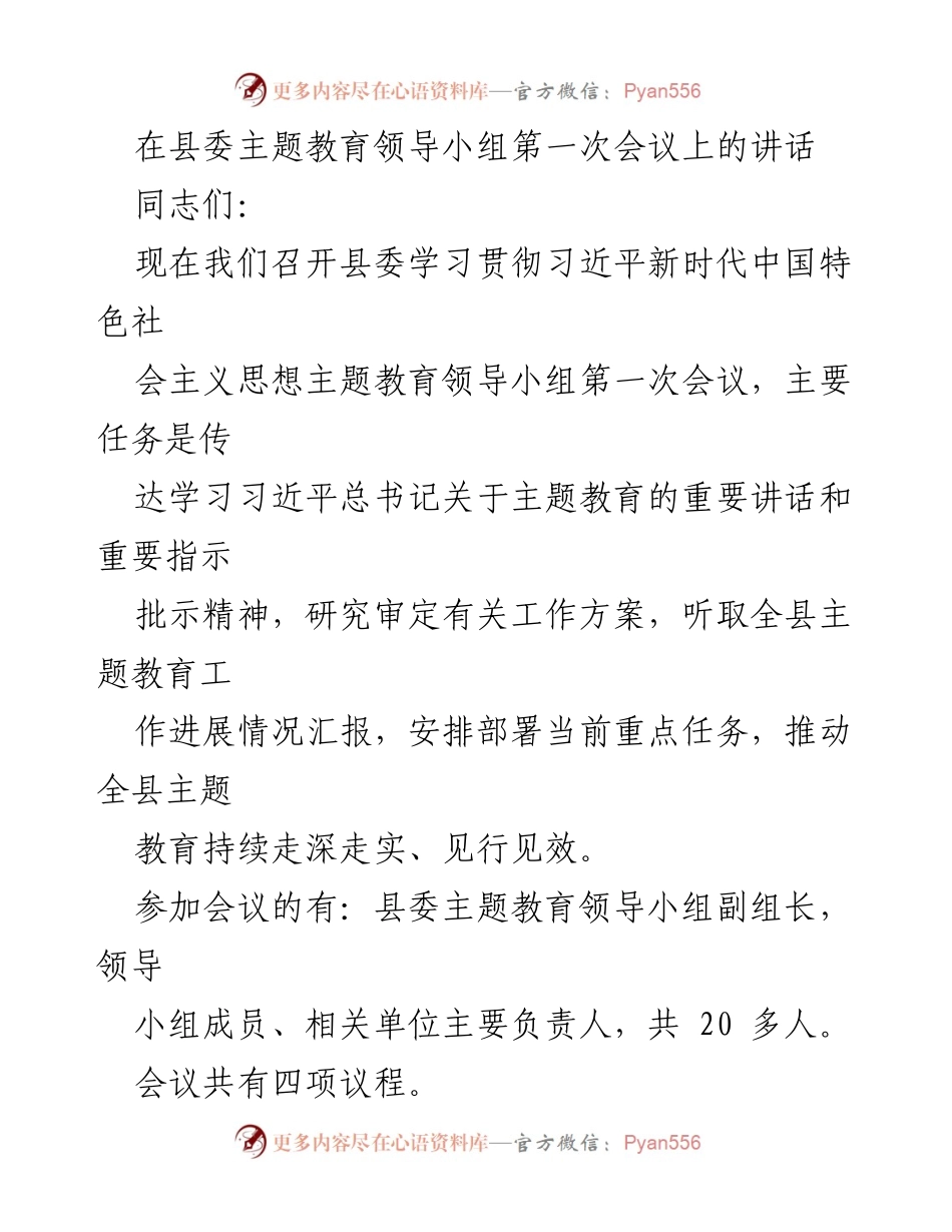 [发言] 县委主题教育领导小组第一次会议 - 深入推进主题教育，落实习近平总书记重要指示精神.docx_第1页