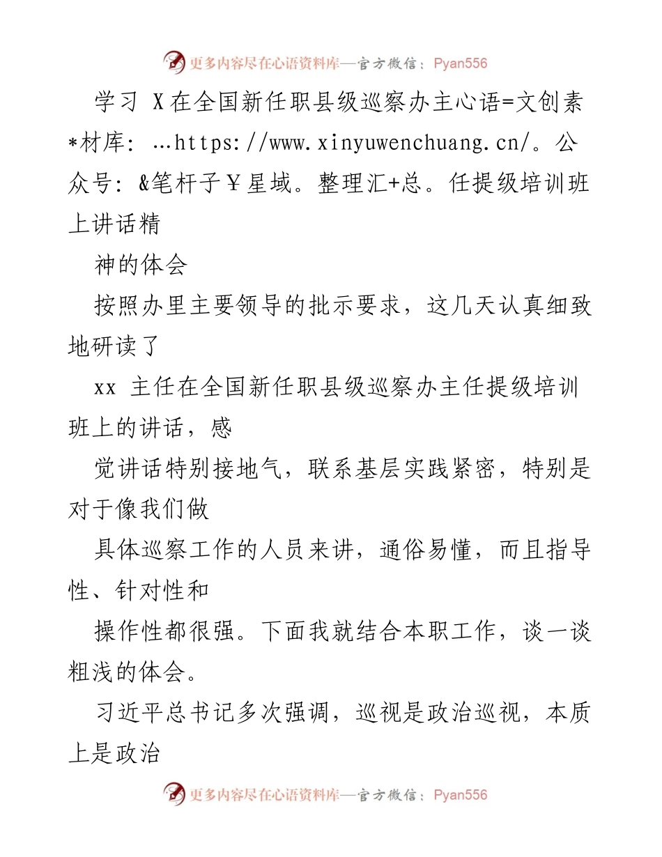 [发言] 培训班 - 深入理解政治巡察的重要性与实施路径.docx_第1页