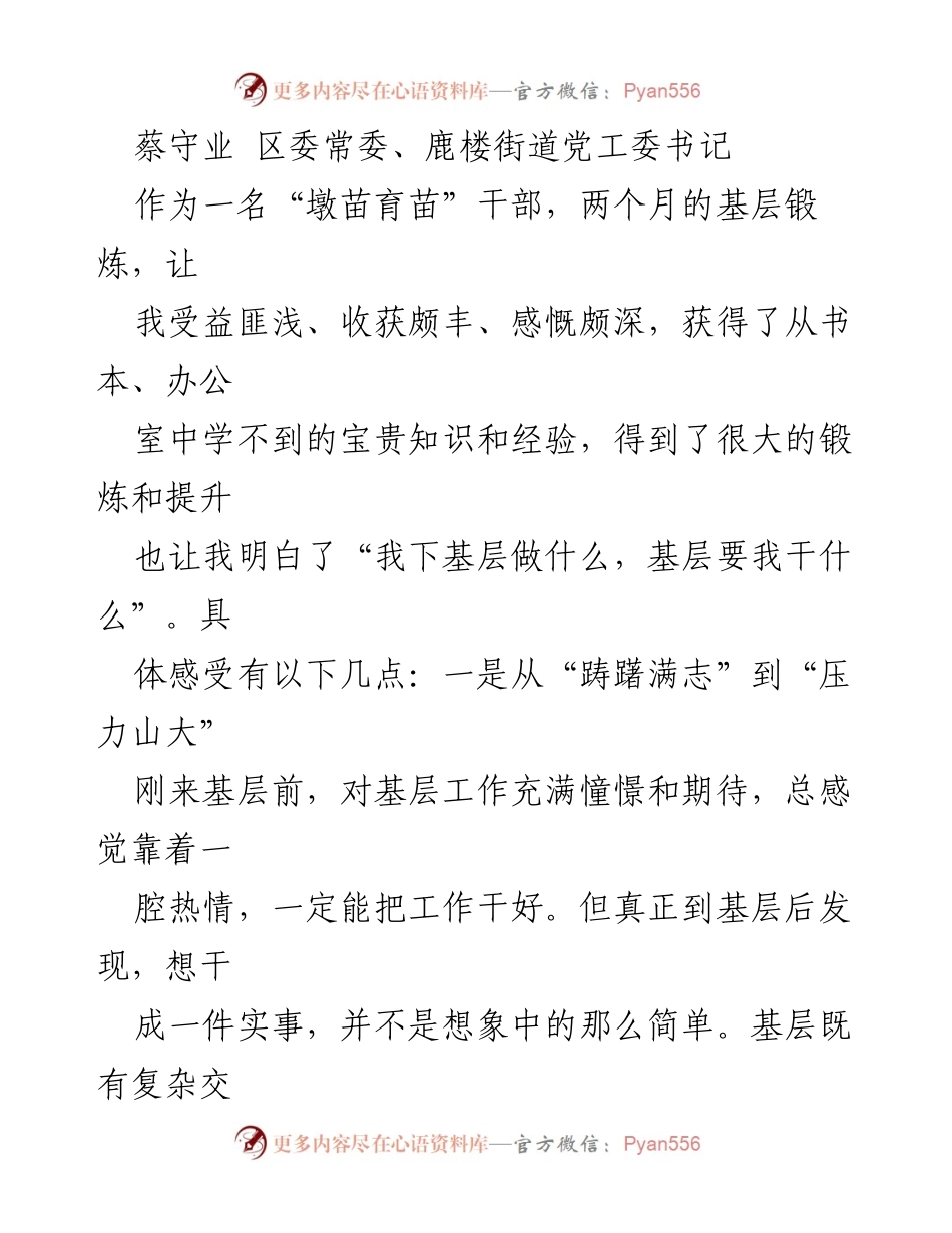 [发言] 基层锻炼分享会 - 从理论到实践：基层工作的真实体验与感悟.docx_第1页