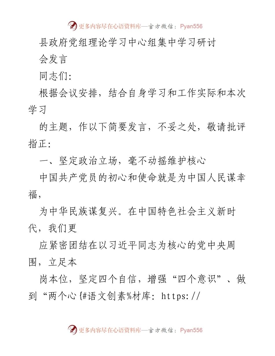 [发言] 县政府党组理论学习中心组集中学习研讨 - 坚定政治立场，勇于担当，服务高质量发展.docx_第1页