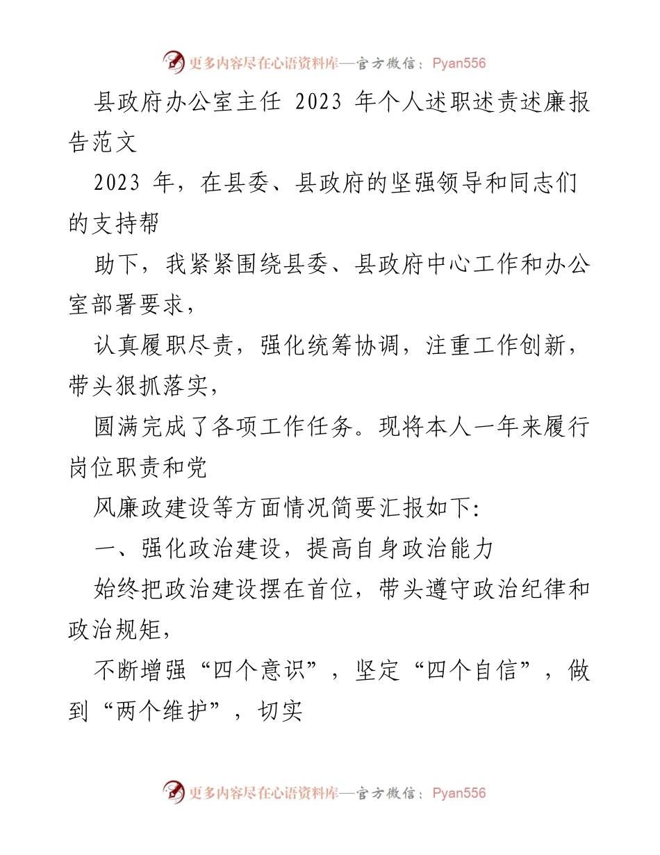 [发言] 县政府办公室 - 2023年个人述职述责述廉报告.docx_第1页