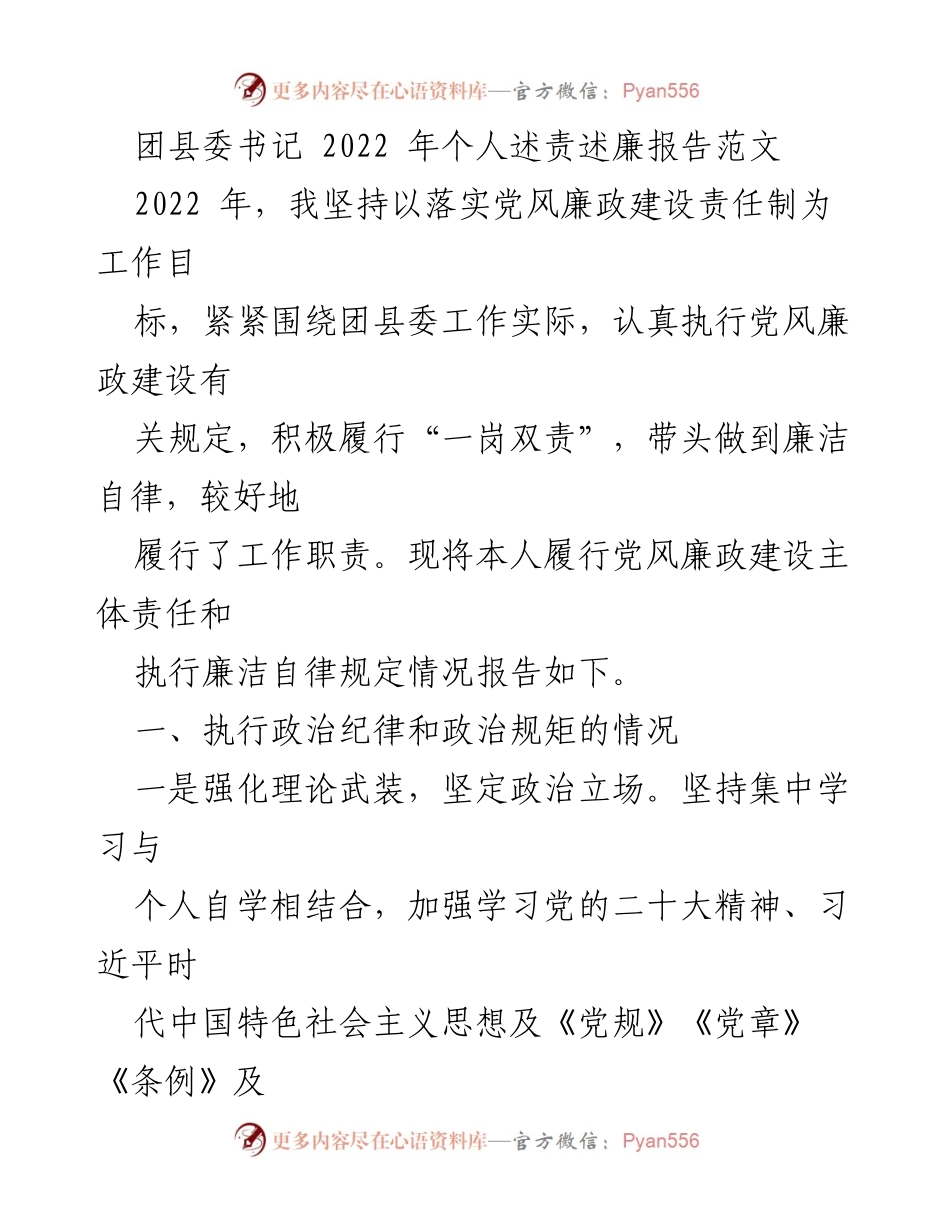 [发言] 团县委工作总结 - 2022 年团县委书记个人述责述廉报告.docx_第1页