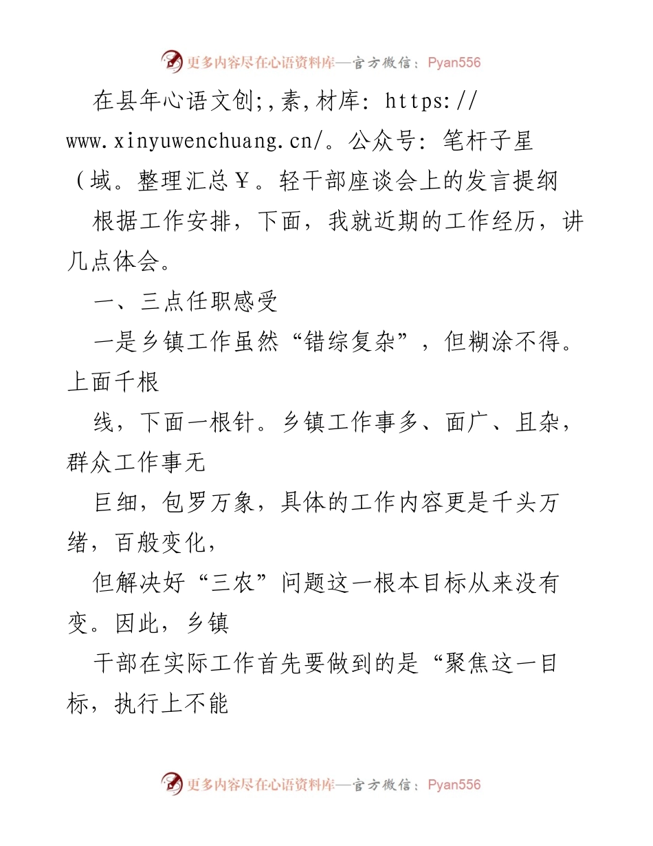 [发言] 县年轻干部座谈会 - 年轻干部在乡镇工作的体会与困惑.docx_第1页