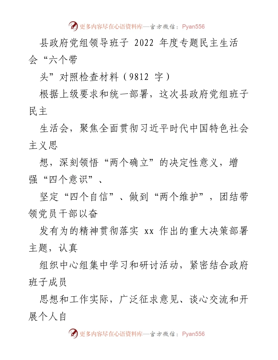 [发言] 县政府党组年度民主生活会 - 2022年度专题民主生活会对照检查材料总结.docx_第1页