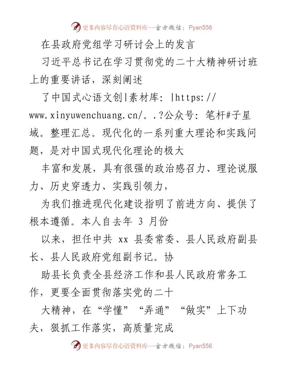 [发言] 县政府党组学习研讨会 - 深入学习贯彻党的二十大精神，推动高质量发展.docx_第1页