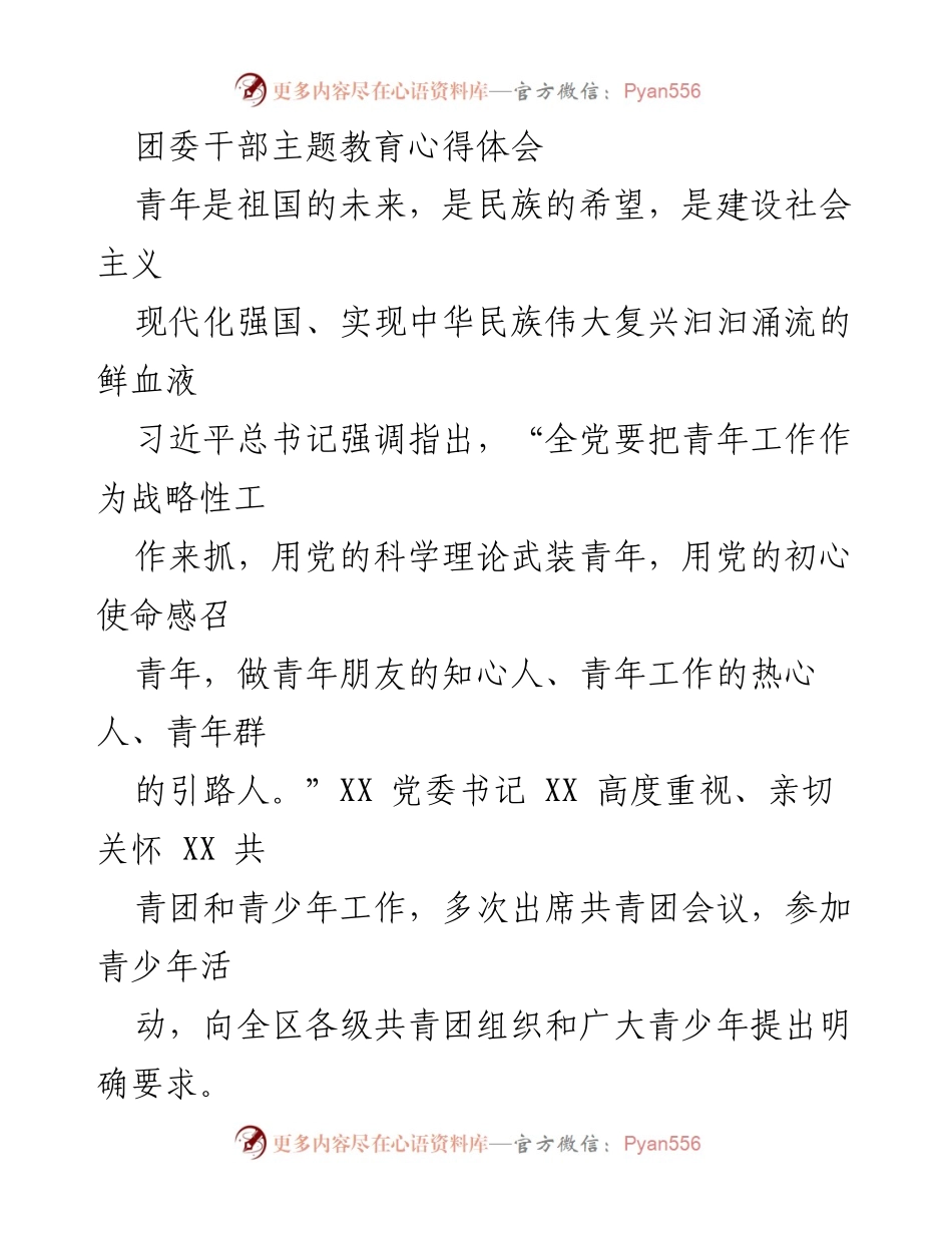 [发言] 团委干部主题教育 - 青年工作的使命与责任：践行习近平总书记的重要指示.docx_第1页