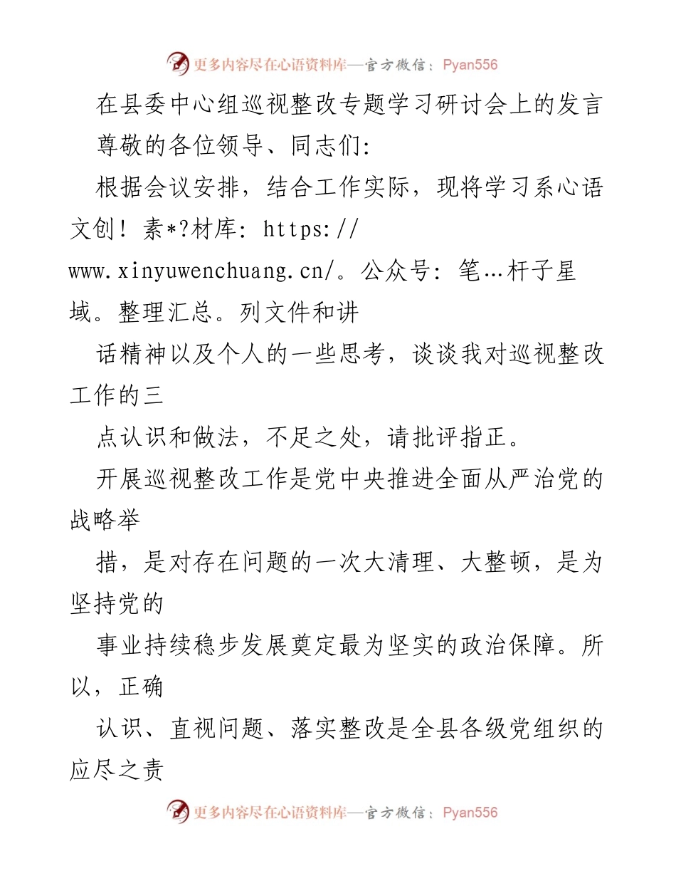 [发言] 县委中心组巡视整改专题学习研讨会 - 深入认识巡视整改工作的重要性及落实措施.docx_第1页