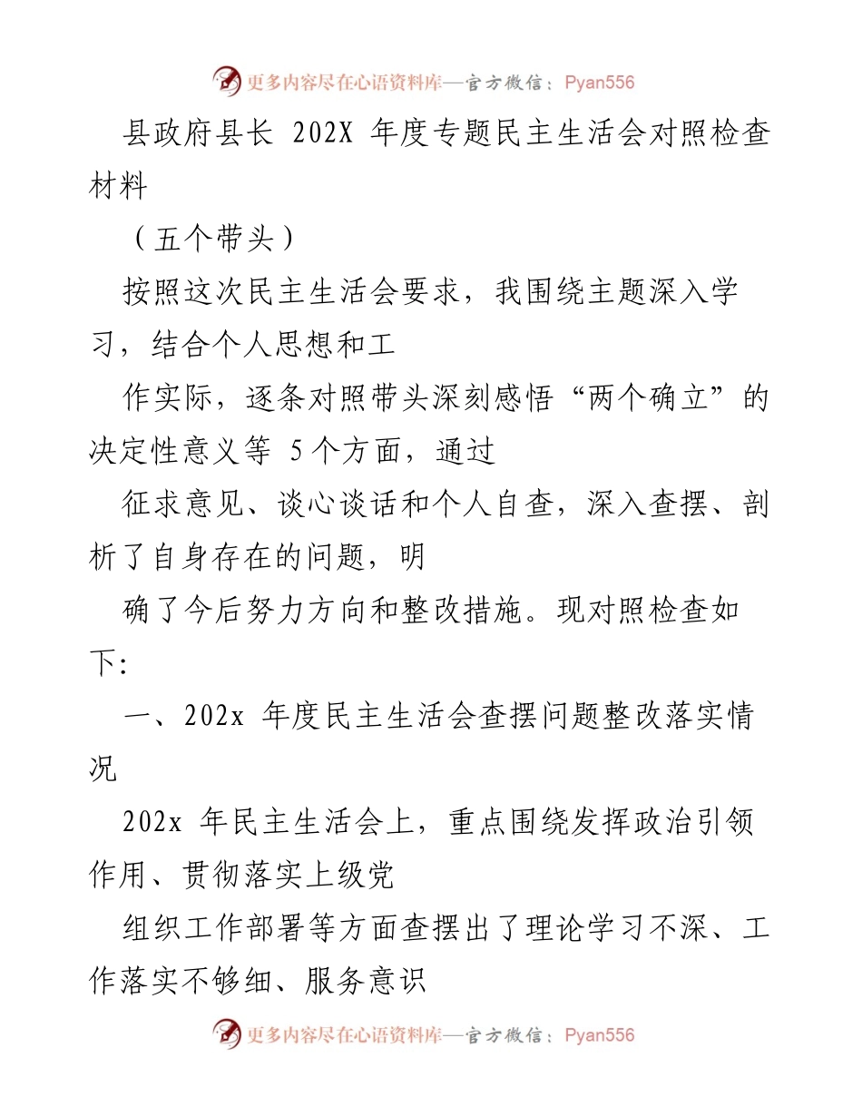 [发言] 县政府年度民主生活会 - 202X年度专题民主生活会对照检查与整改措施报告.docx_第1页