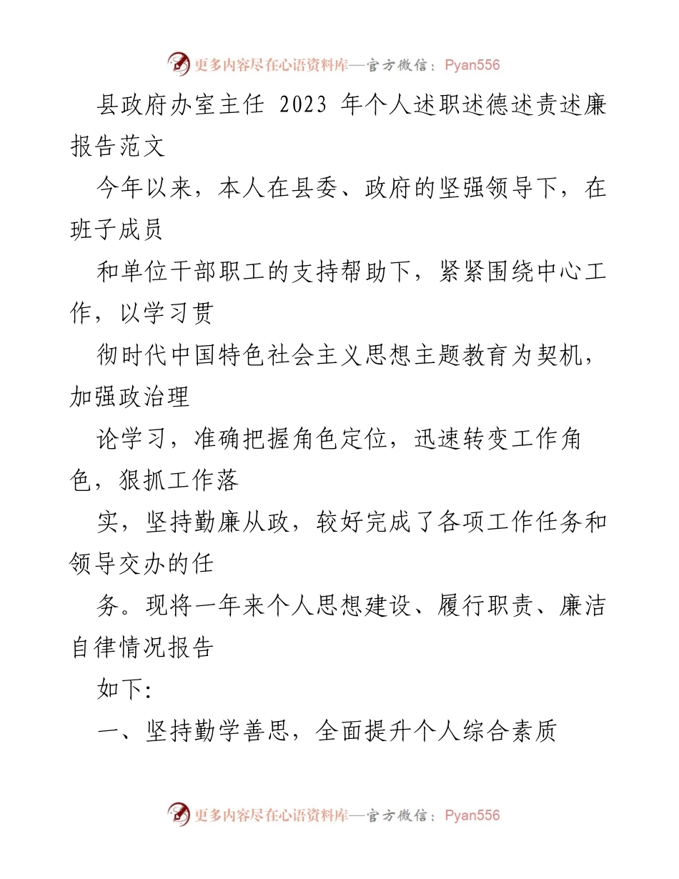 [发言] 县政府办 - 2023年个人述职述德述责述廉报告.docx_第1页