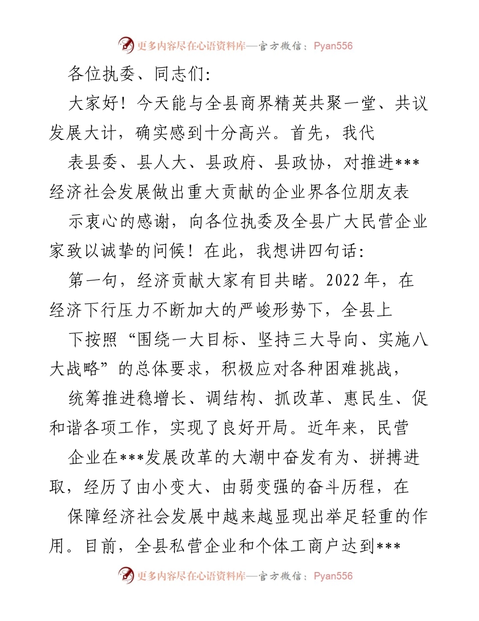 [发言] 商业发展座谈会 - 感谢与展望：民营企业在经济转型中的重要角色.docx_第1页