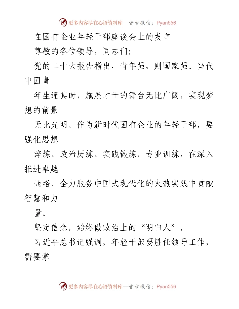 [发言] 国有企业年轻干部座谈会 - 年轻干部的使命与卓越战略推动.docx_第1页