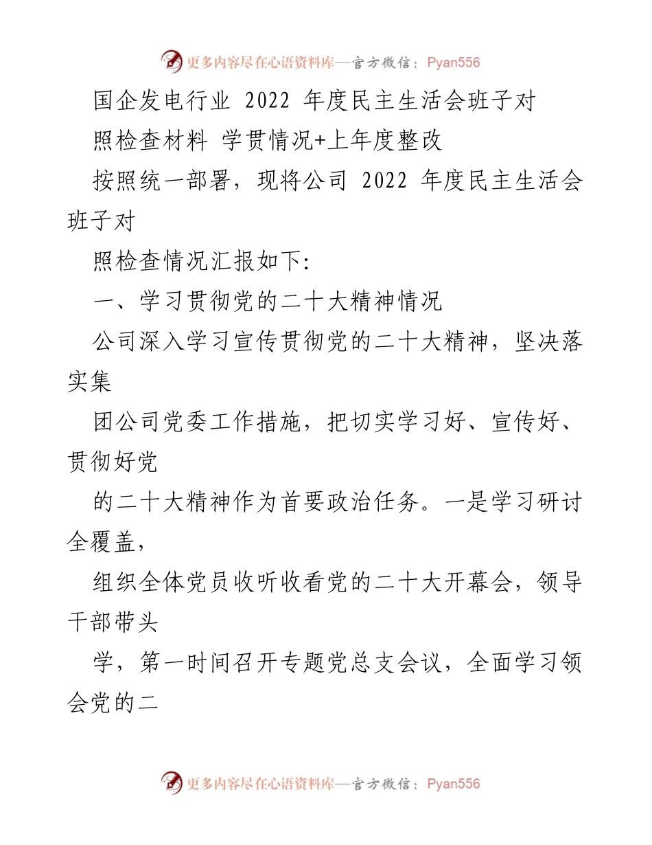 [发言] 国企发电行业 2022 年度民主生活会 - 2022年度民主生活会班子对照检查材料汇报.docx_第1页