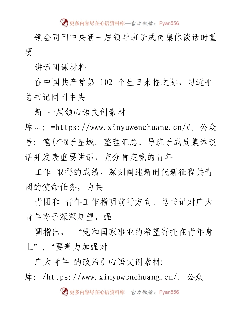[发言] 团中央领导班子集体谈话 - 新时代中国青年使命与责任.docx_第1页