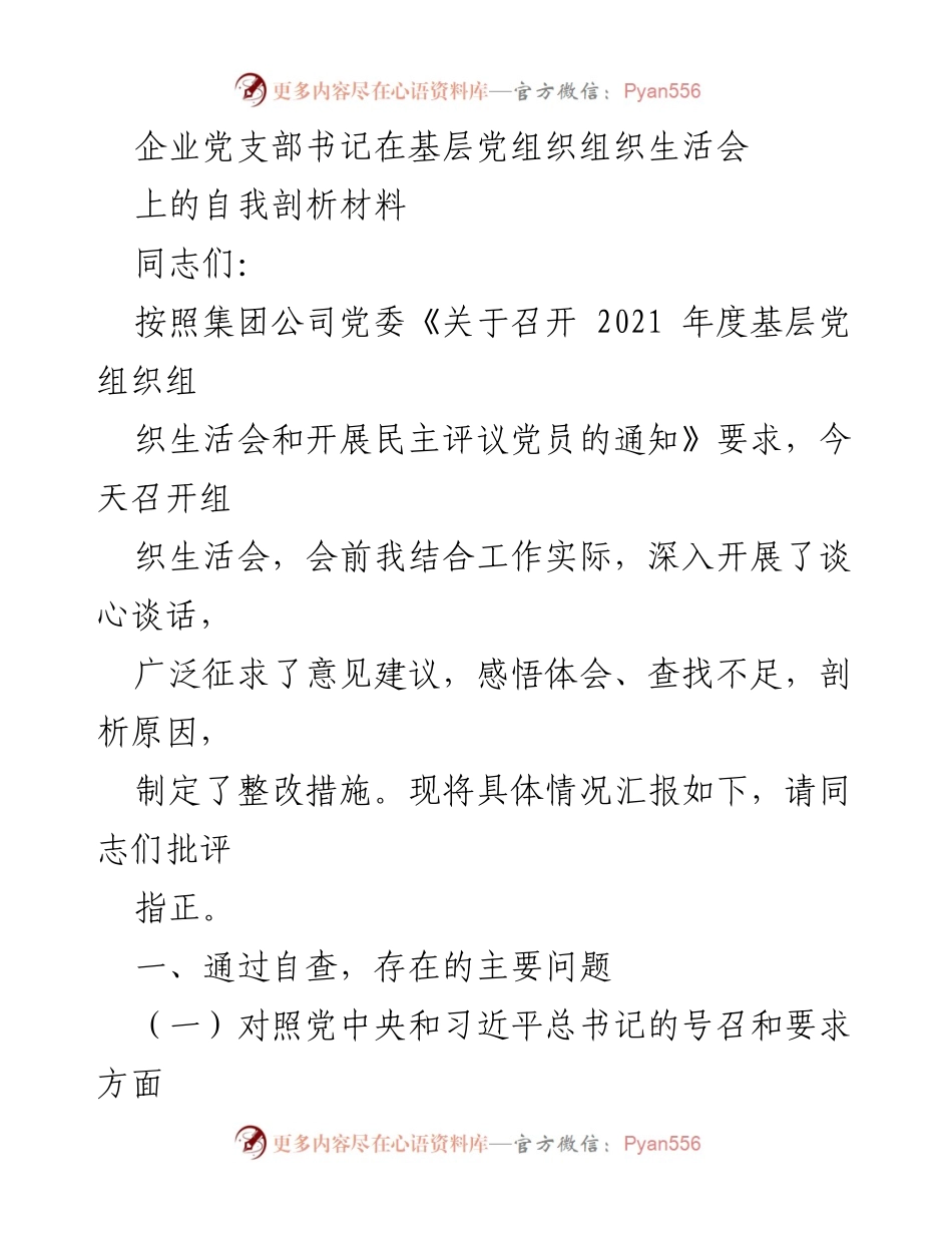 [发言] 基层党组织组织生活会 - 企业党支部书记自我剖析与整改措施.docx_第1页