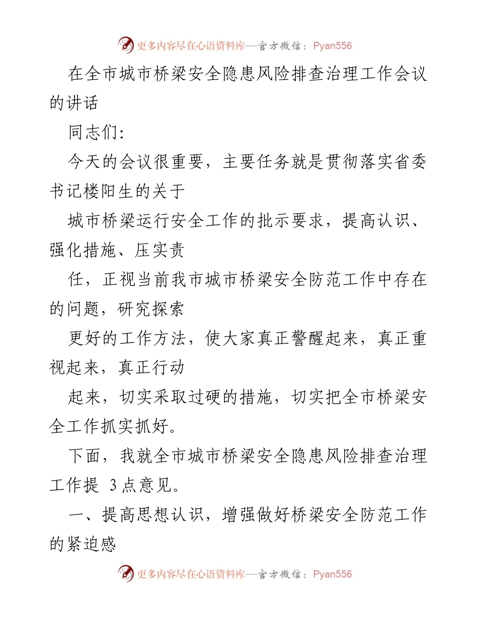 [发言] 城市桥梁安全隐患风险排查治理工作会议 - 强化桥梁安全意识，落实隐患排查责任.docx_第1页