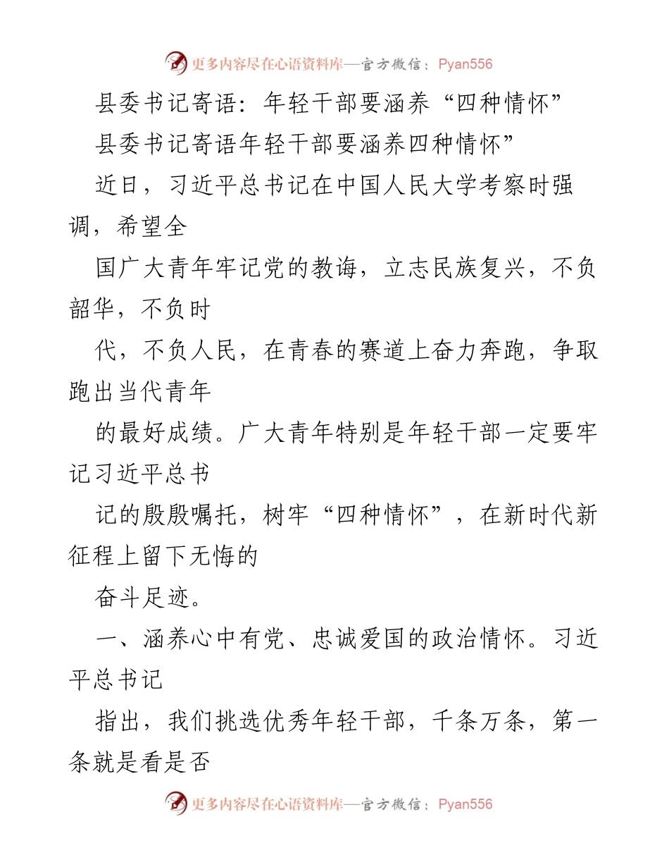 [发言] 县委会议 - 年轻干部要树立“四种情怀”以实现民族复兴.docx_第1页