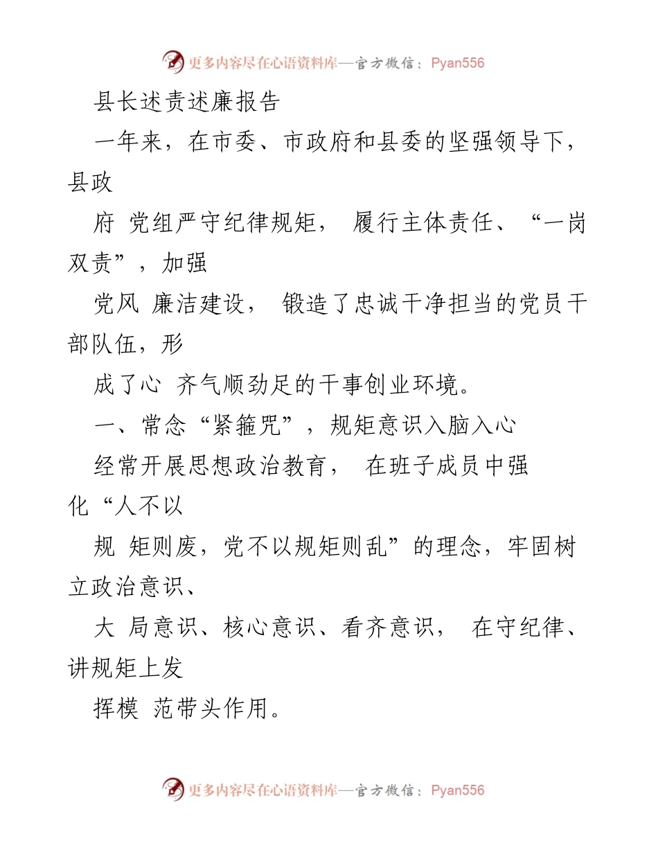 [发言] 县政府工作会议 - 县长述责述廉报告总结.docx_第1页