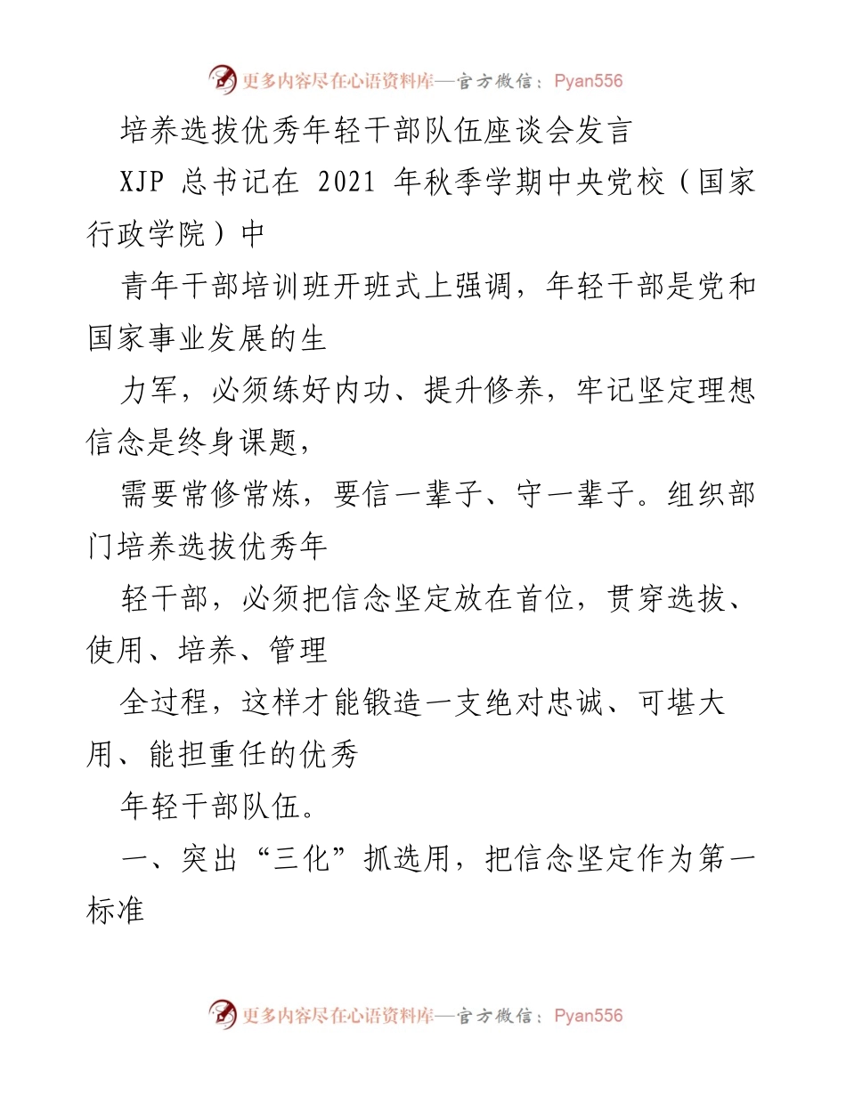 [发言] 培养选拔优秀年轻干部队伍座谈会 - 强调年轻干部理想信念的重要性.docx_第1页